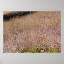 Suche nach lila wildblumen poster Natur