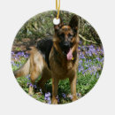 Suche nach schäferhund im schnee ornamente Bob und pam langrish