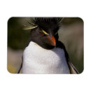 Suche nach rechnung magnete Feder