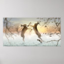 Suche nach hares poster Landschaft