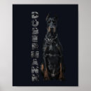 Suche nach pinscher poster Dobermann