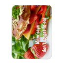 Suche nach nicht zu essen magnete Erdbeere