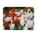 Suche nach tulpen magnete Für sie/ihn
