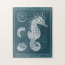 Suche nach seepferd puzzle Meereswelt