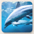 Suche nach delphine untersetzer Meer