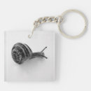 Suche nach schnecken schlüsselanhänger Tier