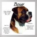 Suche nach ohr poster Hund