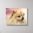 Suche nach pom leinwandbilder Hund