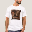 Suche nach orang utans Regenwald