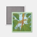 Suche nach gecko magnete Echse