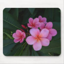 Suche nach blumenbild mousepads Für alle