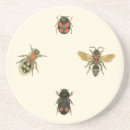 Suche nach studio untersetzer Natur