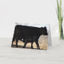 Suche nach kalb karten Jede person