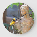 Suche nach pirol Vogel