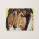 Suche nach collies puzzle Hunde