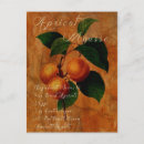 Suche nach apricot postkarten Rezept
