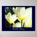 Suche nach feriengeschenke poster Tulpen