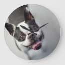 Suche nach bulldogge wanduhren Niedlich