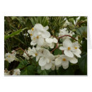 Suche nach grenada karten Blume