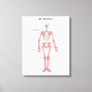 Suche nach krankenschwester leinwandbilder Arzt