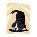 Suche nach berner sennenhund magnete Für alle