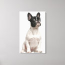 Suche nach bulldoggen leinwandbilder Haustiere