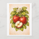 Suche nach roter apfel postkarten Illustration
