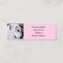 Suche nach rosa labrador Jede person