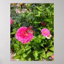 Suche nach zinnia poster Pink