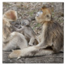 Suche nach garage fliesen Ich