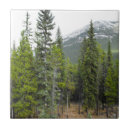 Suche nach wälder fliesen Bäume