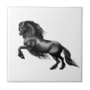 Suche nach schwarzes pferd fliesen Pony