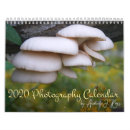 Suche nach washington kalender Wald