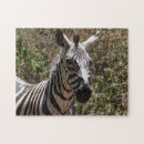 Suche nach zebrastreifen puzzle Tier