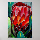 Suche nach protea blume poster Südafrika