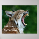 Suche nach luchs poster Tier