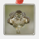 Suche nach verhalten ornamente Vogel