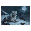 Suche nach schneeleopard poster Großkatzen