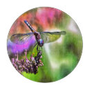 Suche nach maler schneidebrettchen Natur