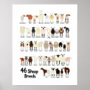 Suche nach sheep poster Wool