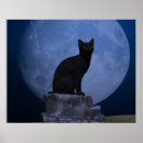 Suche nach katze und vollmond poster Mondlicht