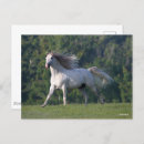 Suche nach bob langrish postkarten Lauf