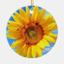 Suche nach gelbe sonnenblumen ornamente Sommer