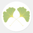 Suche nach ginkgo blätter aufkleber Gingko