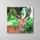 Suche nach hirsch leinwandbilder Wohngestaltung