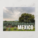 Suche nach destillation postkarten Landschaft