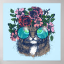 Suche nach maine coon poster Kätzchen