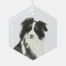 Suche nach border collie ornamente Tier