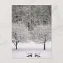 Suche nach schneelandschaft postkarten Wald