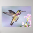 Suche nach vogelfoto Natur